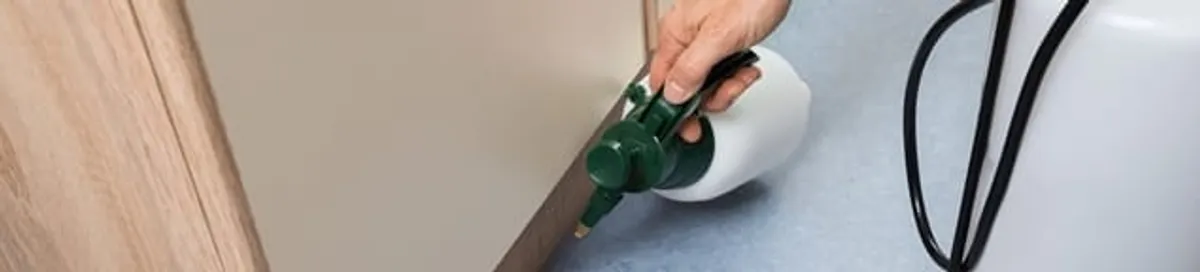 Bed bug exterminator treating baseboards and cracks with targeted spray in Mesa, AZ
