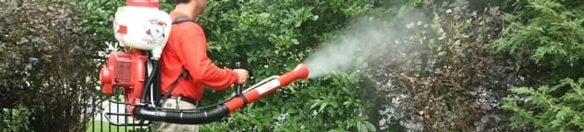 Mosquito control technician fogging shrubs and landscaping for mosquito treatment in Mesa, AZ