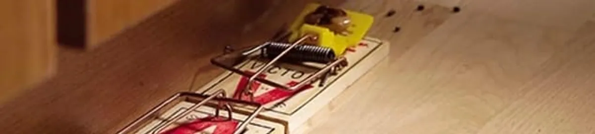 Rodent trap set indoors for rodent control and prevention in Mesa, AZ